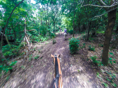 Last Forest Segment Horseback Riding Rincon De La Vieja
 - Costa Rica