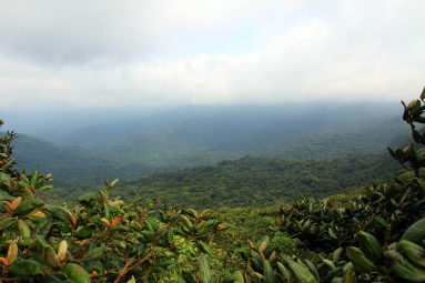 monetverde cloud forest reserve continental divide 
 - Costa Rica