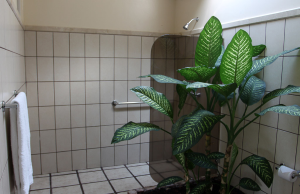 arenal manoa bathroom 
 - Costa Rica