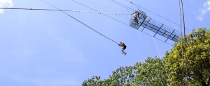  percent aventura tarzan bottom 
 - Costa Rica