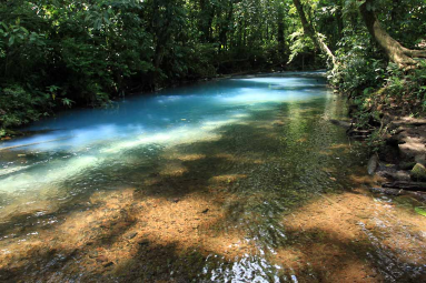 rio celeste rivers merge 
 - Costa Rica