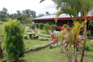 arenal palace gardens 
 - Costa Rica
