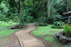 villa lapas path 
 - Costa Rica
