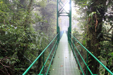 skywalk hangingbridge 
 - Costa Rica