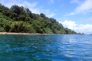 dominical surf dive snorkel cano closeup 
 - Costa Rica