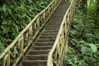 Step Trail To Celeteste River Waterfall
 - Costa Rica