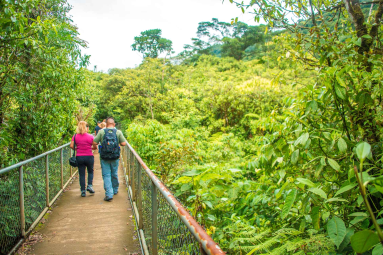 People Crossing A Cement Bridge During The Celeteste River Waterfall Tour
 - Costa Rica