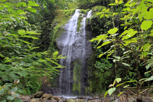 carlos lodge 
 - Costa Rica