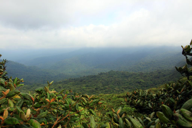 monetverde cloud attraction continental divide  
 - Costa Rica