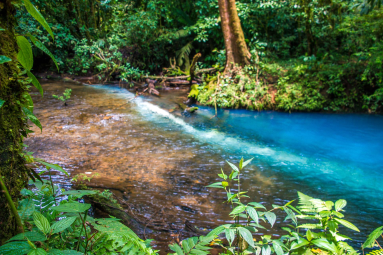 Tenidero Place Where Fresh Water Turns Blue
 - Costa Rica