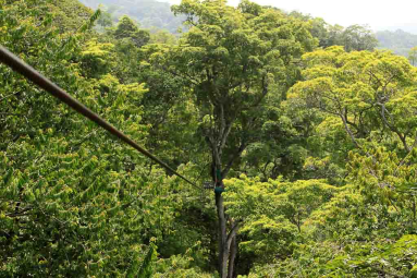 chiclets canopy tour thcable 
 - Costa Rica