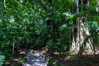 ecotermales 
 - Costa Rica