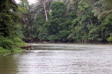 cano negro rio frio 
 - Costa Rica