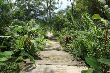 pura vida gardens stairs 
 - Costa Rica