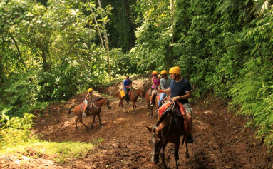 los suenos horses 
 - Costa Rica
