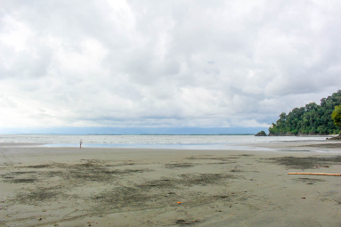 violin island beach trip from sierpe 
 - Costa Rica